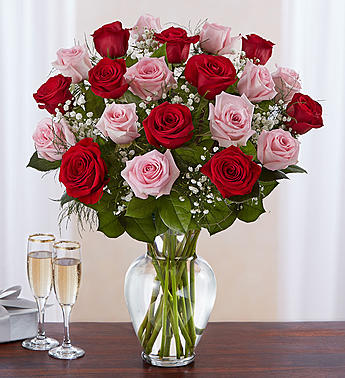 Ultimate Elegance Long Stem Pink and Red Roses Flower Bouquet