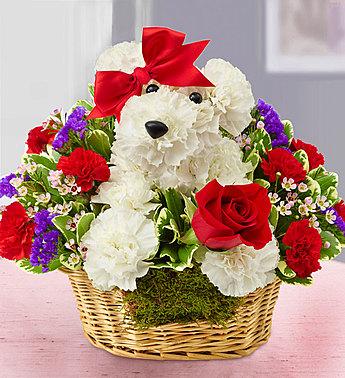 Love Pup - Valentine's Dog Flower Basket