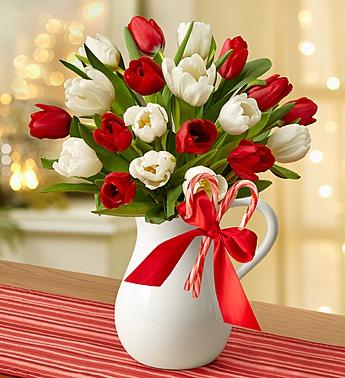 Peppermint Pitcher of Tulips™