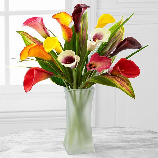 Captured Color Calla Lily Bouquet - 12 stems, No Vase Flower Bouquet
