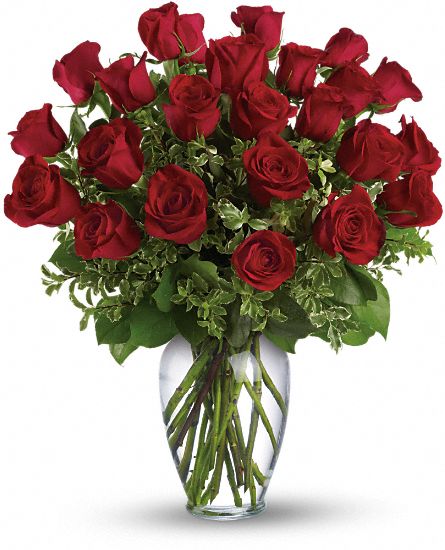 Two Dozen Luxe Rose Bouquet
