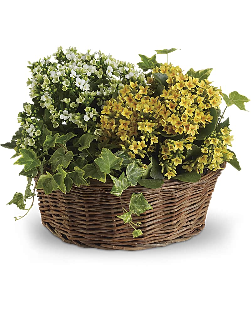 Basket of Joy Flower Bouquet