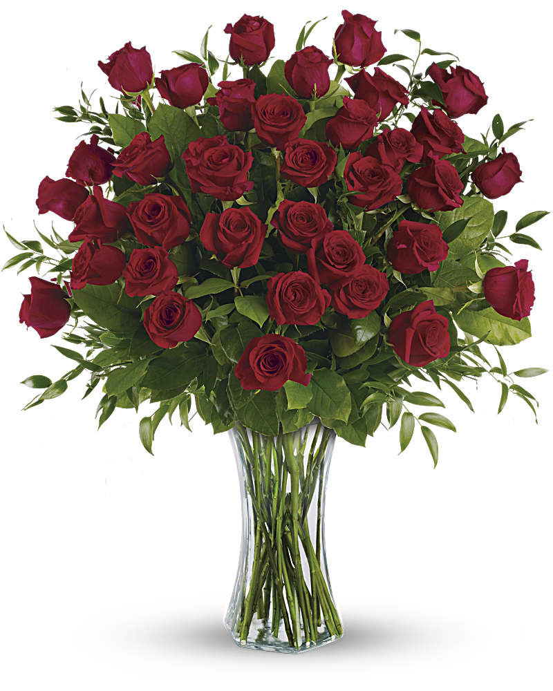 3 Dozen Long Stemmed Roses-Choice of Color Flower Bouquet