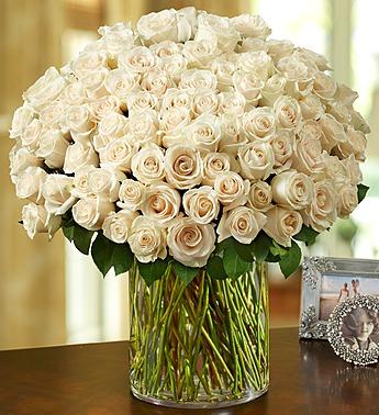 100 Premium White Roses in a Vase