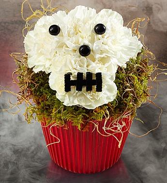 Bad to the Bones Cupcake Flower Bouquet