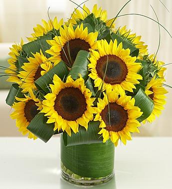 Sun-Sational Sunflowers Flower Bouquet