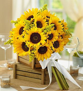 Country Wedding All Sunflower Bouquet