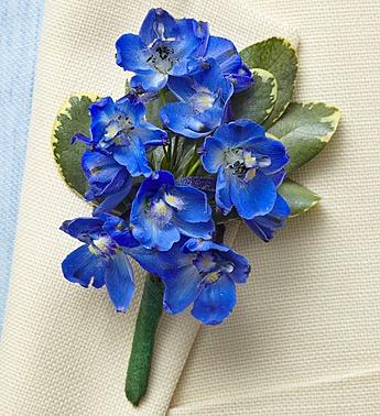Country Wedding Boutonniere