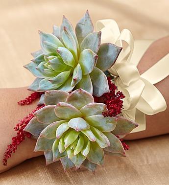 Stunning Succulents Wristlet Corsage