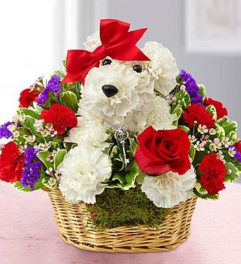 Love Pup - Valentine's Dog Flower Basket