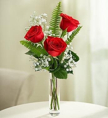 Love''s Embrace™ Roses - Red