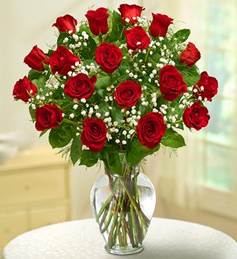 Rose Elegance Premium Long Stem 
Red Roses
 Flower Bouquet