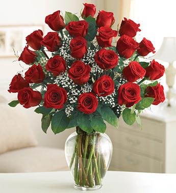 Two Dozen Premium Long Stem Red Roses