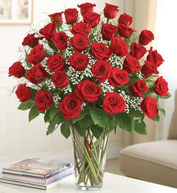 Ultimate Elegance Premium Long Stem Red Roses Flower Bouquet