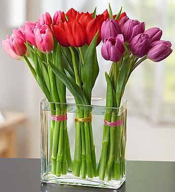 Modern Tulips for Your Valentine Flower Bouquet