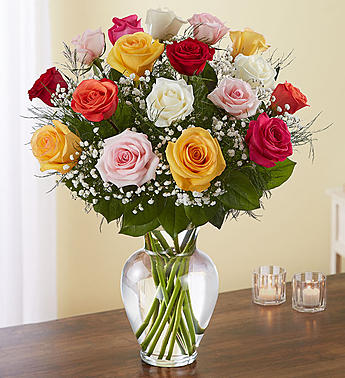 Rose Elegance - Long Stemmed Assorted Roses Flower Bouquet