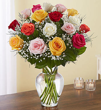 Rose Elegance - Long Stemmed Assorted Roses