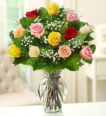 Rose Elegance™ Premium Long Stem Assorted Roses Flower Bouquet