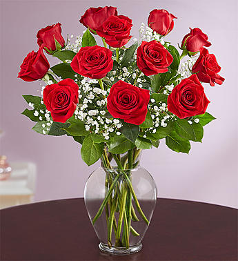 Rose Elegance™ Premium Long Stem Red Roses