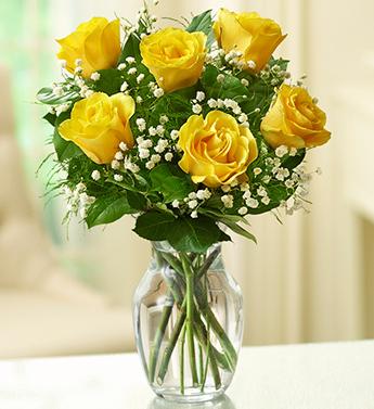 Rose Elegance Premium Long Stem Yellow Roses