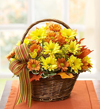 Fall Daisy Basket