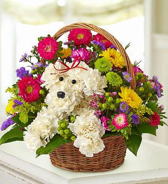 a-DOG-able in a Basket Flower Bouquet