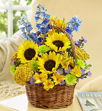 Fields of Europe for Summer Basket