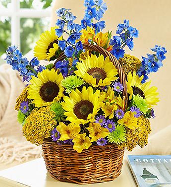 Fields of Europe for Summer Basket