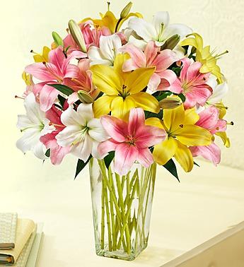 Sweet Spring Lilies, 25-50 Blooms