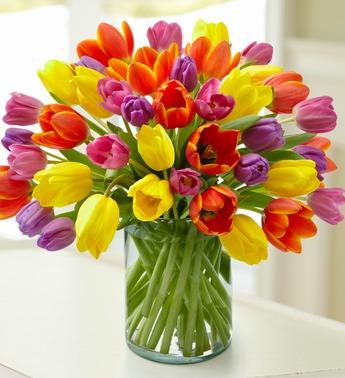 Enchanting Assorted Tulips in a Clear Vase Flower Bouquet