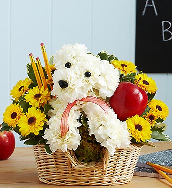 Teacher''s Pet Flower Bouquet