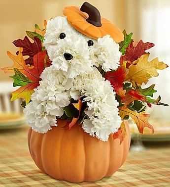 a-DOG-able for Fall Flower Bouquet