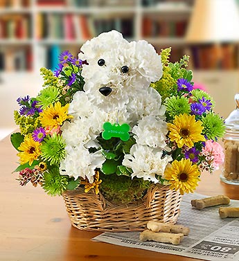 Man''s Best Friend Flower Bouquet