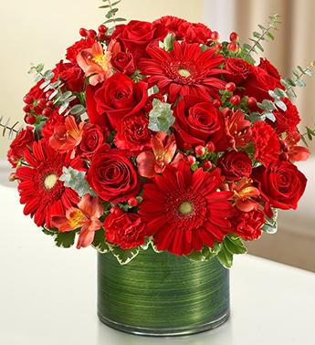 Cherished Memories - All Red