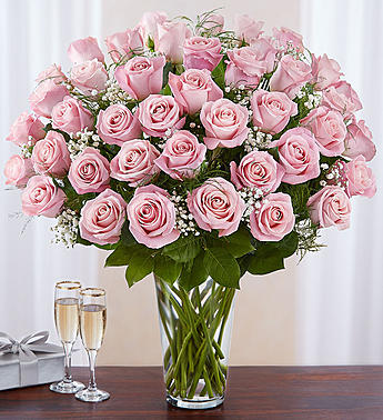 Two Dozen Premium Long Stem Pink Roses