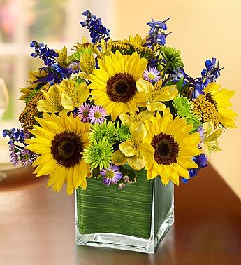 Fields of Europe for Summer in Cube Vase Flower Bouquet