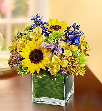 Fields of Europe for Summer in Cube Vase Flower Bouquet