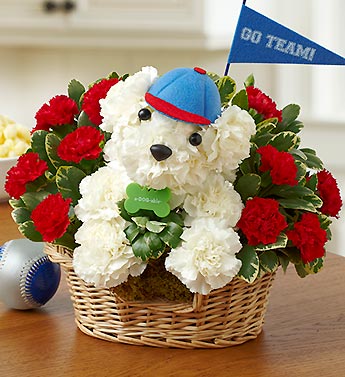 Sports Hound Flower Bouquet