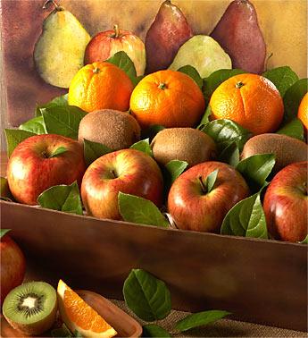 Arbor Harvest Medium Fruit Gift Basket 