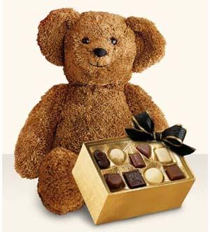 Bear with Chocolates