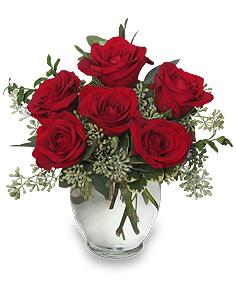 Rosey Romance
Red Rose Bouquet