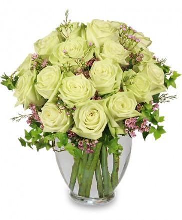 Remarkable Roses
 Arrangement Flower Bouquet