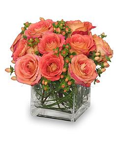 Just Peachy Roses
Arrangement