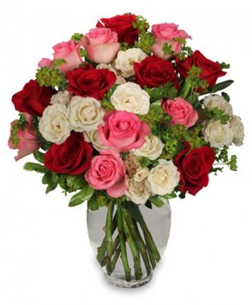 Romance of Roses
Spray Roses  Bouquet Flower Bouquet