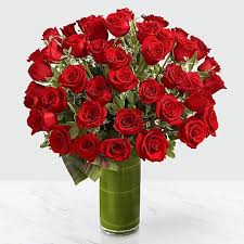 Fate Luxury Rose Bouquet - 48 Stems of 24-inch Premium Long-Stemmed Roses Flower Bouquet
