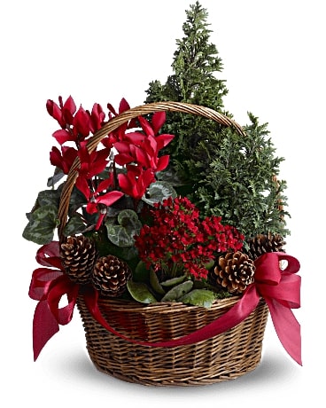 Tannenbaum Basket