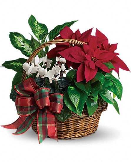 Holiday Homecoming Basket ***BASKET VARIES ON AVAILABILITY & COLOR***