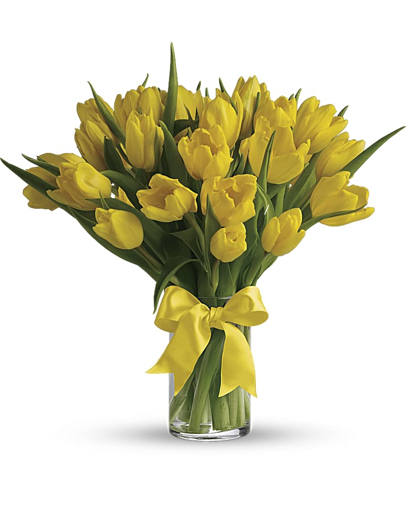 Sunny Yellow Bulb Tulips in a Clear Vase