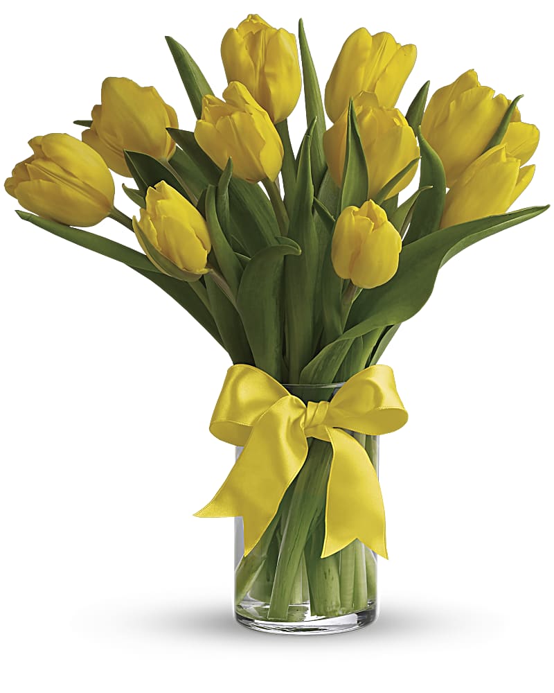 Sunny Yellow Bulb Tulips in a Clear Vase