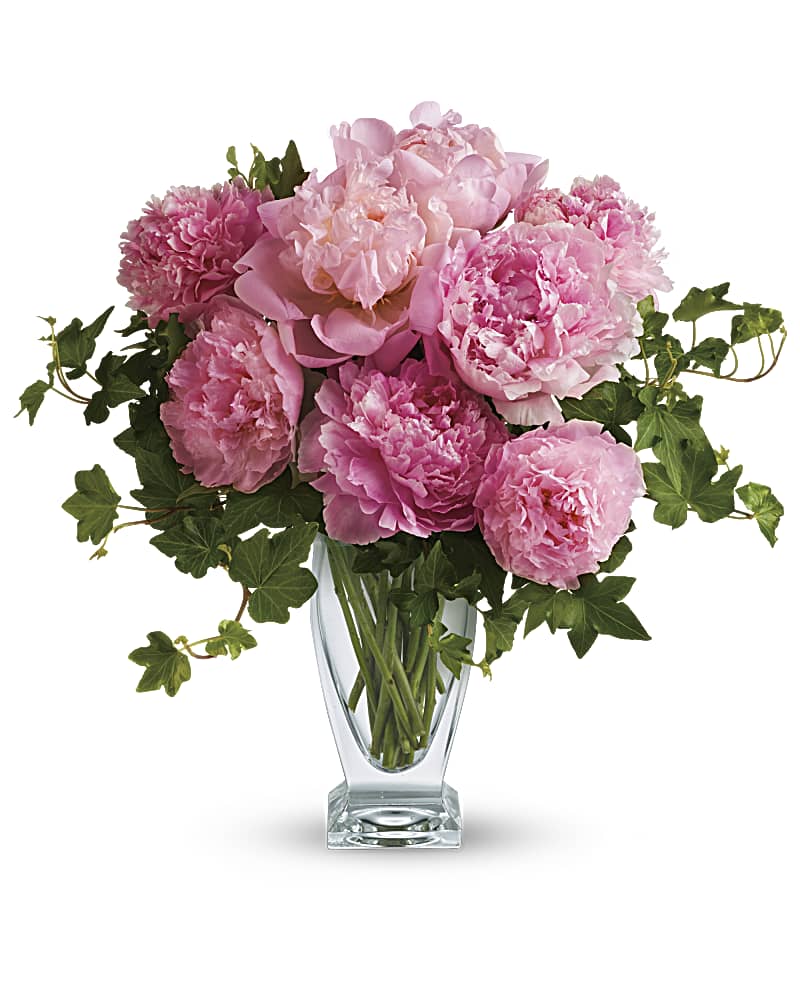 Peonies shop for delivery